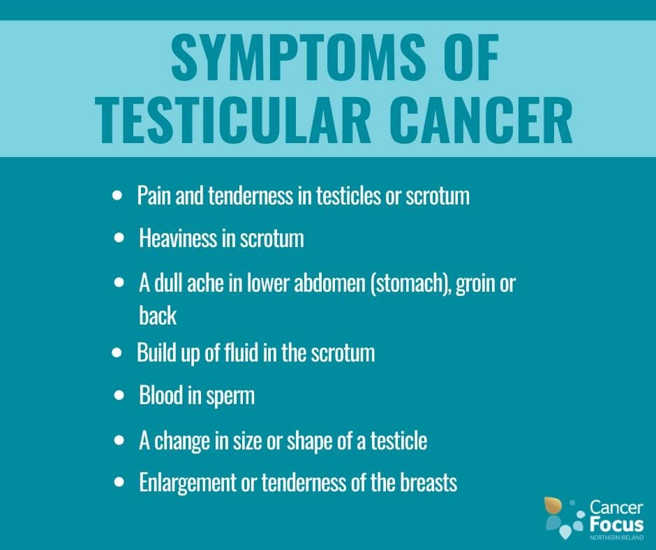 testicular-cancer-signs--symptons.jpg